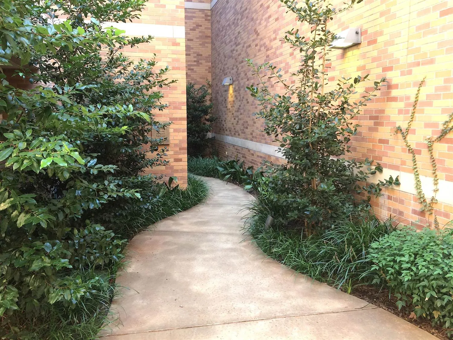 TEXAS HEALTH DALLAS HEALING GARDEN